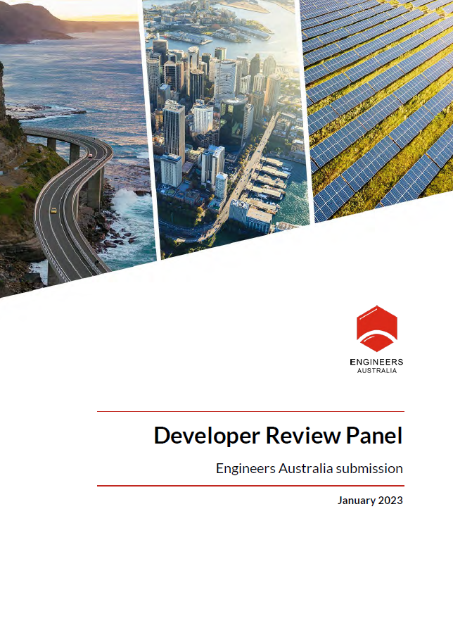 Cover of Developer Review Panel